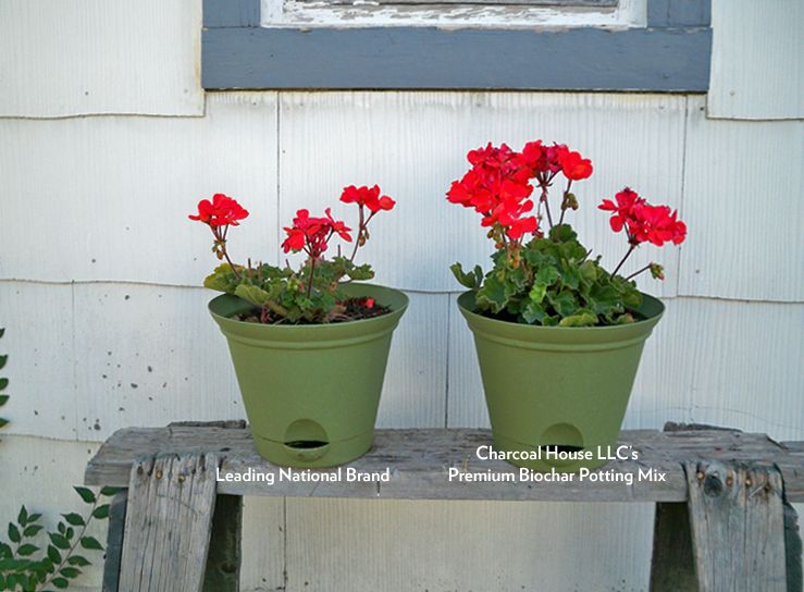 Comparison between leading national brand and Charcoal Green Potting Mix