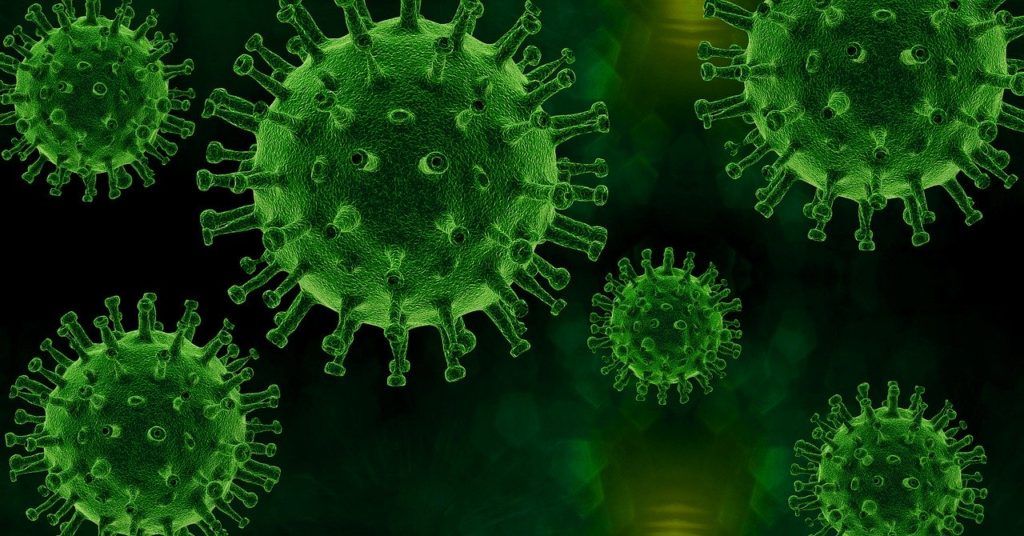 flu virus