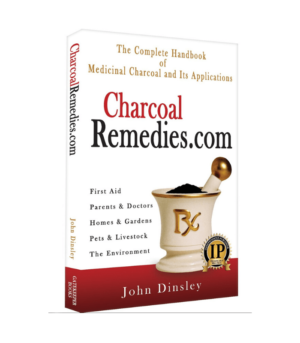 Charcoal Remedies 3D Book Cover / Mockup