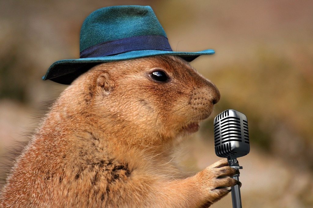 prairie dog microphone