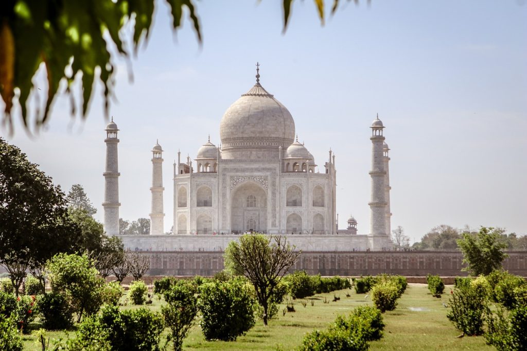 taj mahal india charcoal remedies seminar