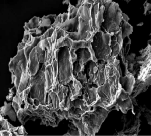 Electron Micrograph of Activated Charcoal