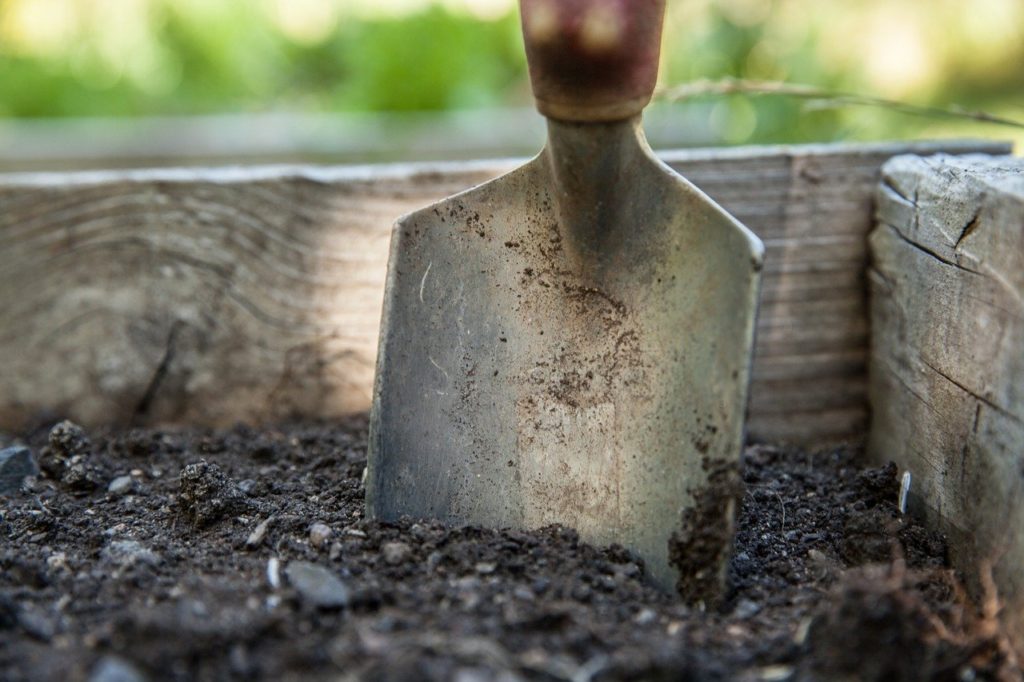 Dark Soil with shovel