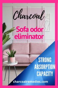 Sofa Odor Eliminator: Activated Charcoal