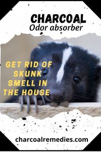 Remove Skunk Odor
