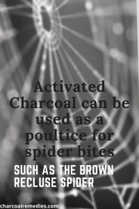 Spider Bite Remedy With Activated Charcoal