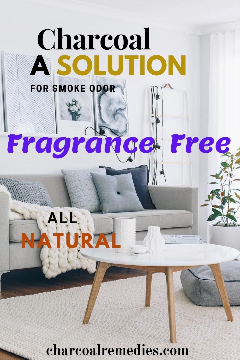 Remove Smoke Odor From Home With Activated Charcoal Charcoal Remedies