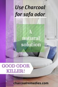 Sofa Odor Eliminator Activated Charcoal