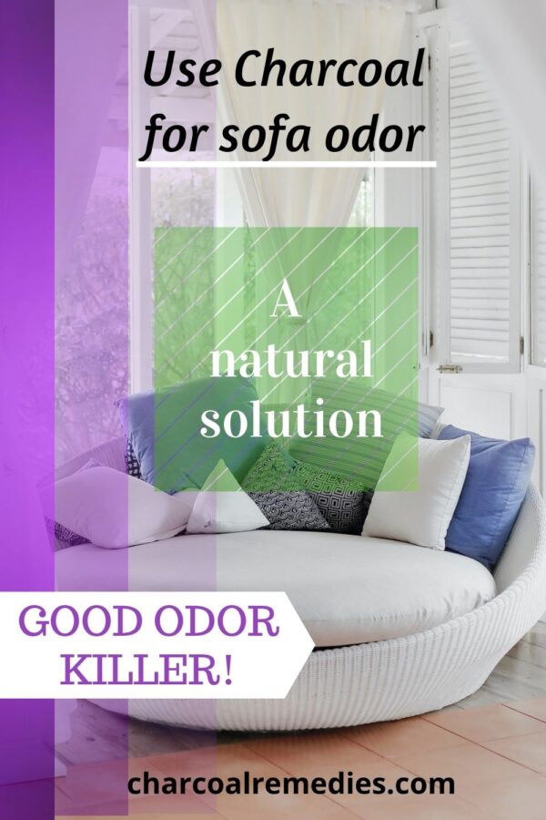 How To Get Rid Of Sick Smell Sofa at Frank Klingbeil blog