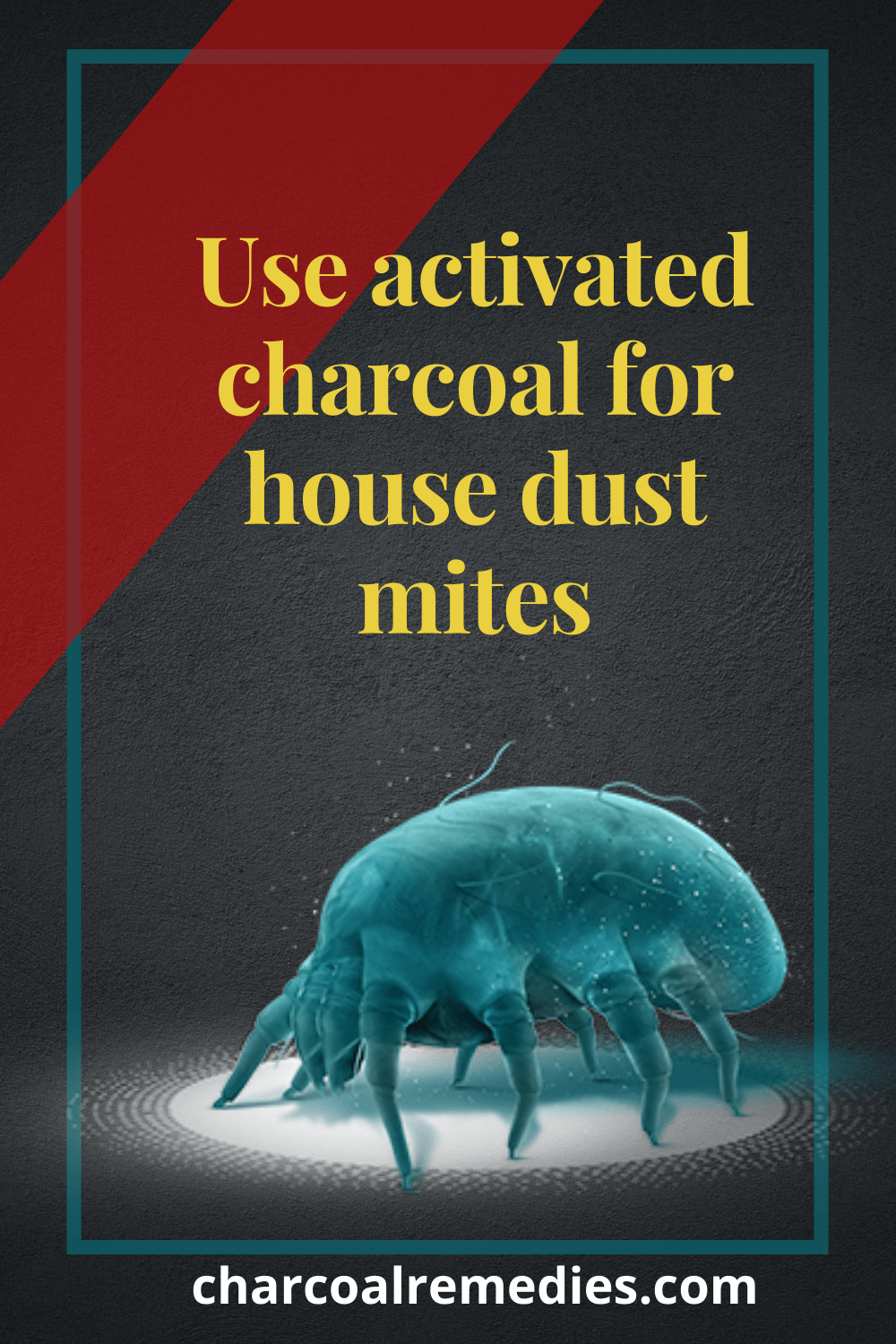 Dust Mites Charcoal Remedies