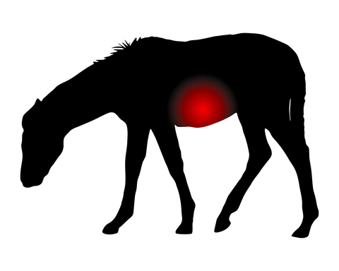 horse colic treatment