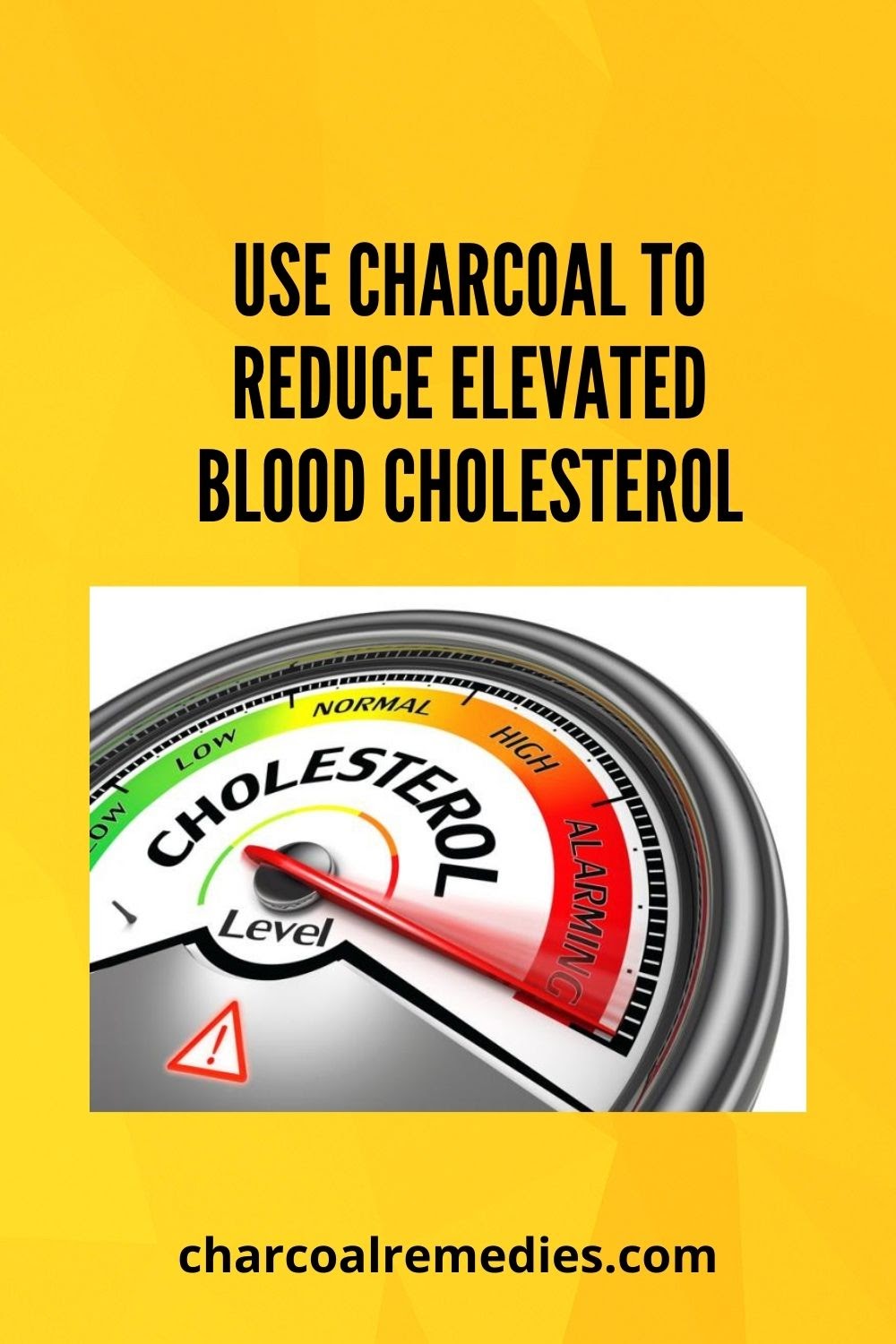 1 Natural Cholesterol Lowering Supplement Charcoal Remedies