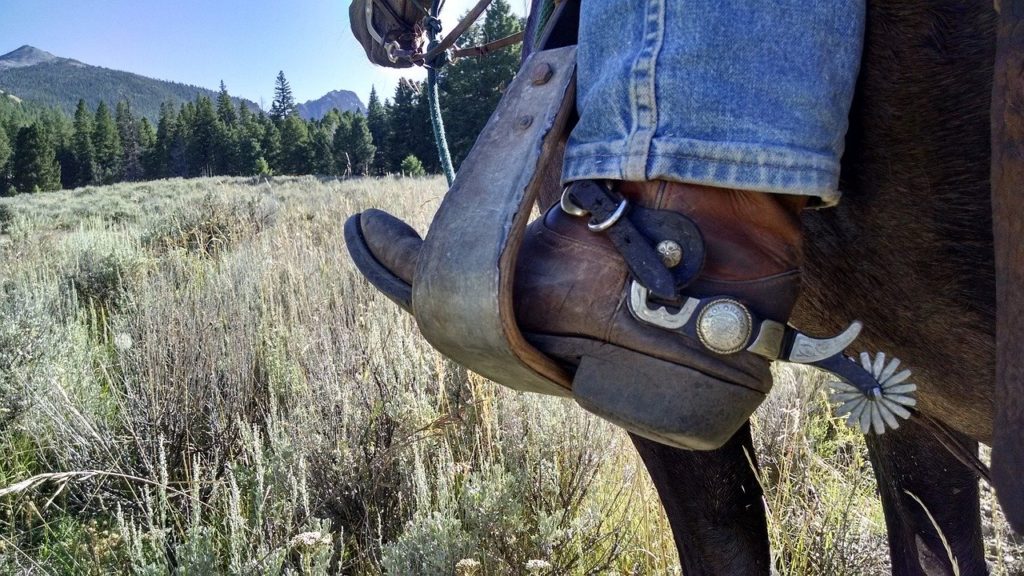 Cowboy boot horse