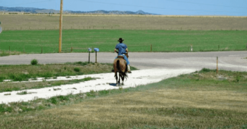 Jesse, our neighbor, heads out on horseback after picking up a supply of Vet Dtox.