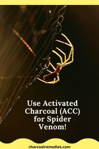 Antivenom For Spider Bites With Activated Charcoal