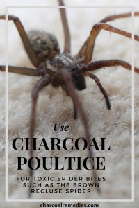Brown Recluse Spider Bite Remedy With Activated Charcoal