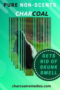 Odor Eliminator Skunk