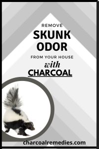 Skunk Odor Removal