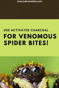 Spider Venom Antidote With Activated Charcoal