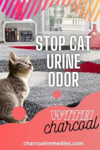 Remove Cat Urine Smell from furniture