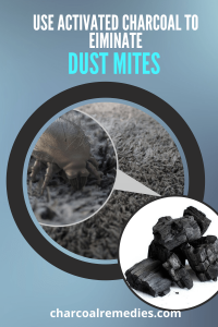 activated charcoal for dust mite 4