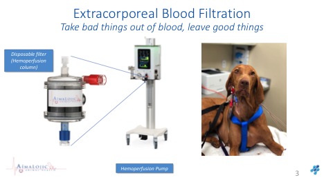 charcoal hemoperfusion for poisoning
