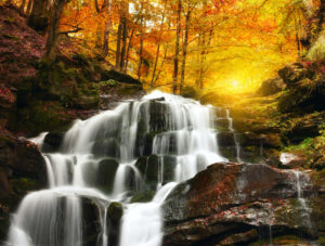 cascade water falls