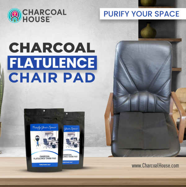 Total Non-Scents Flatulence Chair Pad